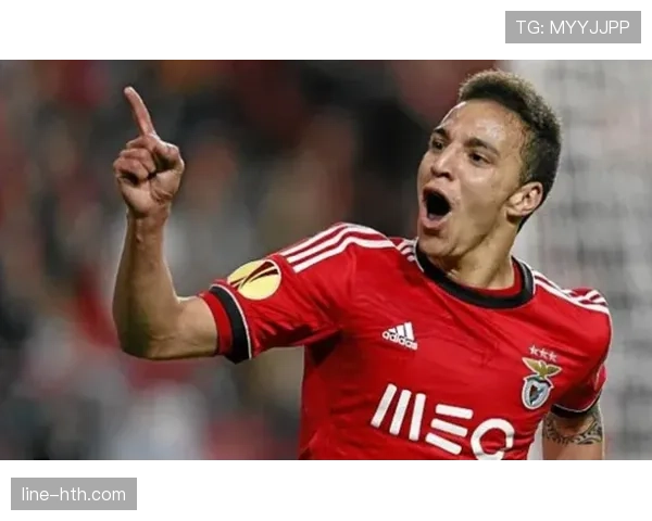 罗德里戈战术角色与体系适配性分析 罗德里戈战术角色与体系适配性分析